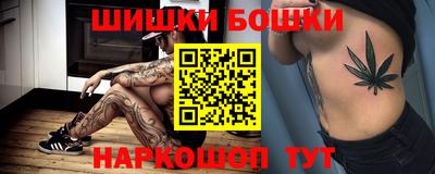 молекула духа Будённовск